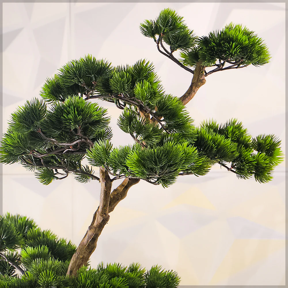 Thumbnail 22