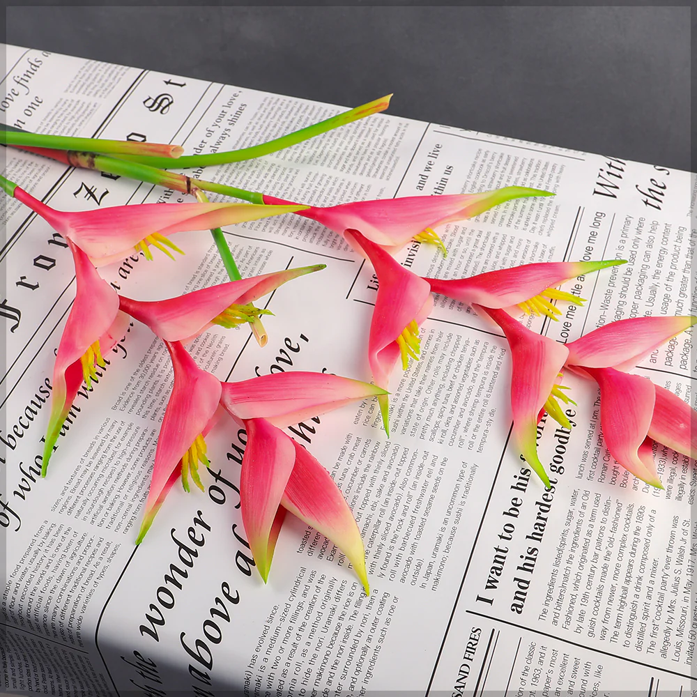 Thumbnail 19
